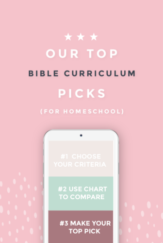 Our Top Homeschool Bible Curriculum PIcks Picture